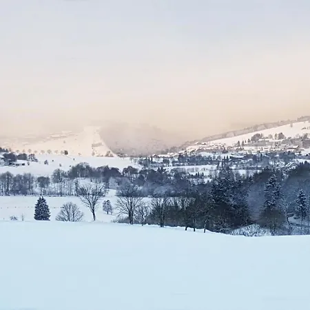 Ferienhaus Berggrün Willingen - Nähe Skywalk Stryck