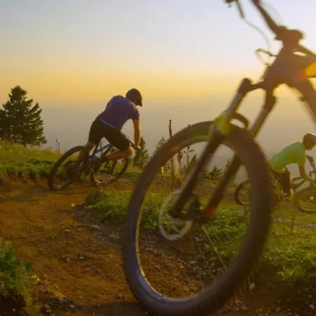 Berggrün Willingen - Nähe Skywalk Stryck