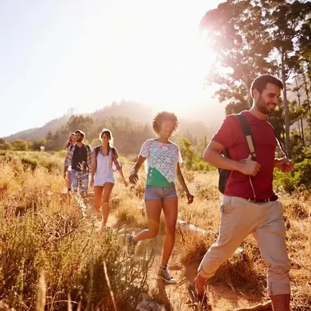 Berggrün Willingen - Nähe Skywalk