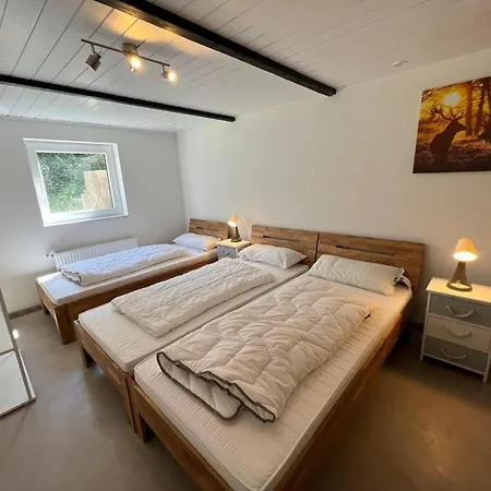 Berggrün Willingen - Nähe Skywalk Ferienhaus *