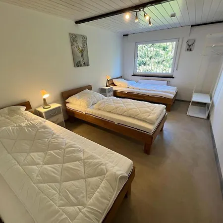 Ferienhaus Berggrün Willingen - Nähe Skywalk