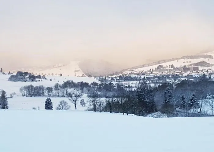 Prázdninový dům Berggruen Willingen - Naehe Skywalk Stryck