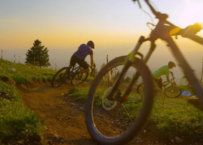 Berggrün Willingen - Nähe Skywalk Willingen (Upland)