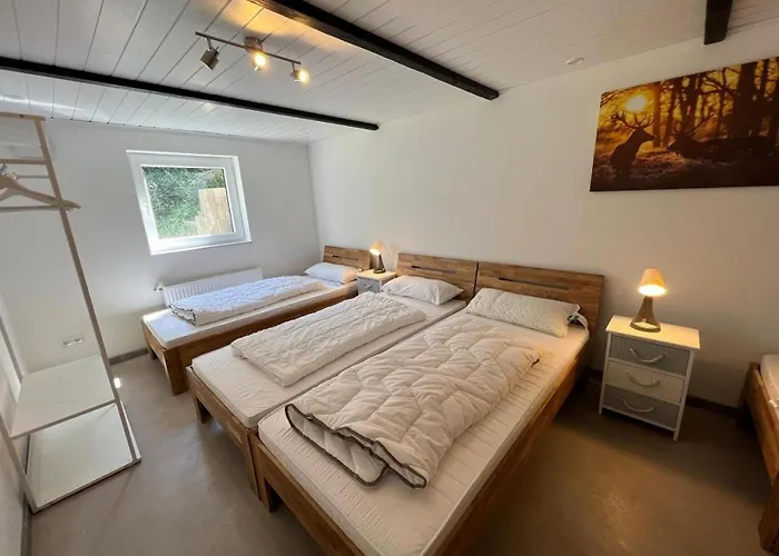 Berggruen Willingen - Naehe Skywalk Prázdninový dům *