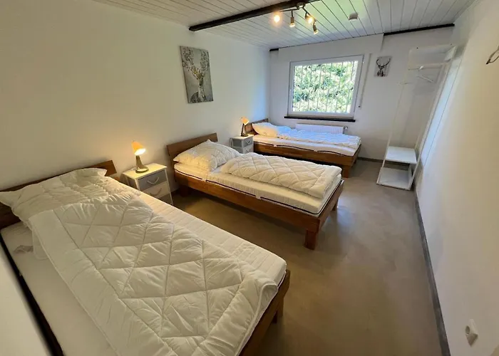 Prázdninový dům Berggruen Willingen - Naehe Skywalk